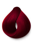 1 Hair Dye Shampoo